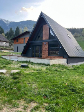 CabanA Oscar Borşa
